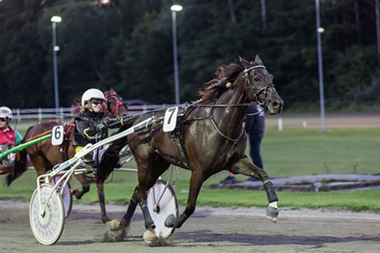 Travl�b i Paris endte med galop