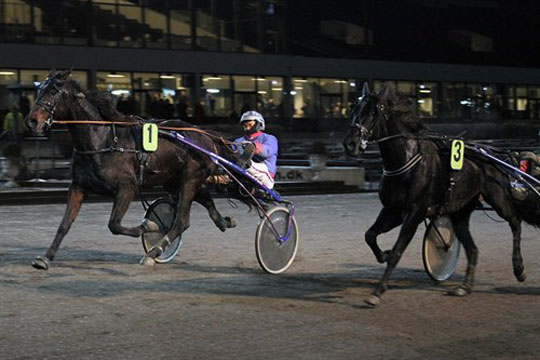 Bornholmsk topchance i hovedstaden i aften