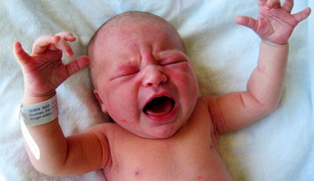 278 b�rn kom til verden p� Bornholm i 2017