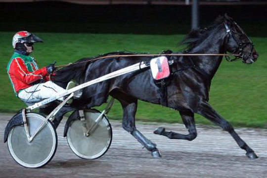 Toppris p� vej for tidligere delvis bornholmskejet traver