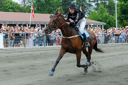 �rets mont�rytter findes p� l�rdag