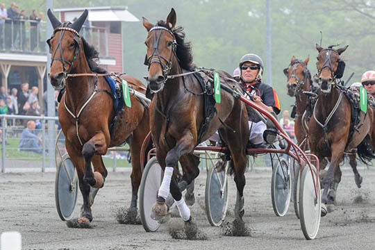 Lovende travhest har forladt Bornholm