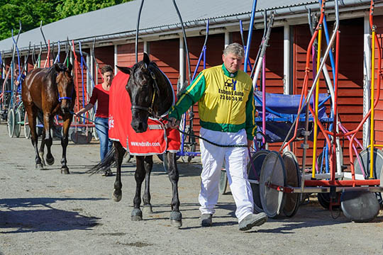 Bornholmske travl�b p� Oddset i dag