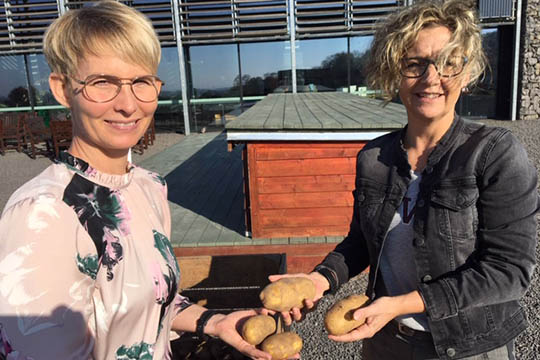 Sydbank st�tter Kartoffelugen