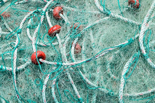 71-�rig mand d�mt for ulovligt fiskeri