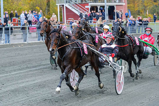 Solon overrumplede sejrshest