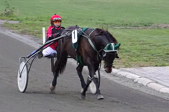 Skade stopper nyttig traver for i �r