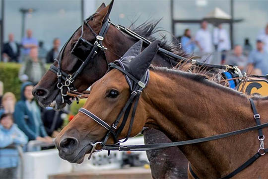 Flere bornholmske Top3 chancer p� Lunden