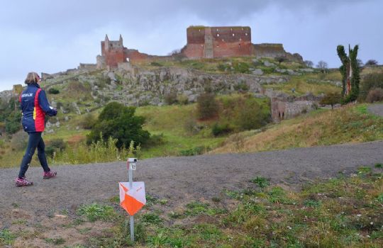 H�st Open blev en succes