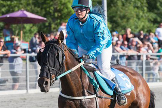 Endnu en hest solgt til travskolen i K�benhavn