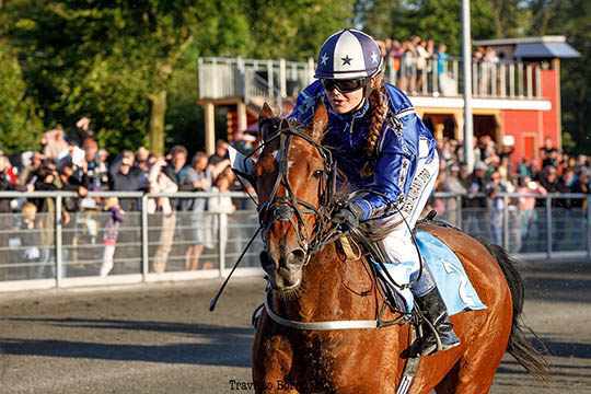 Travhest til hovedstaden for at f� l�b i kroppen