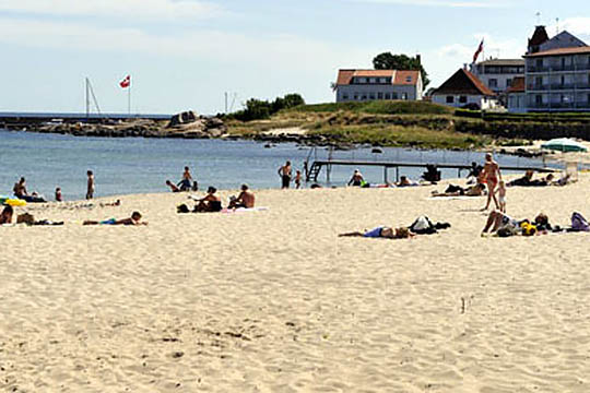 Workshops for b�rn f�r ikke tilskud