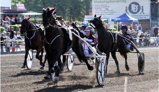 Andenplads til bornholmsk opdr�t p� Fyn