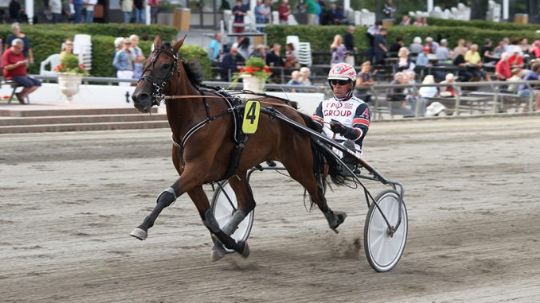 Bornholmeropdr�t i storl�b om 350.000 kr.