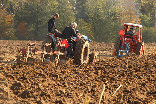 Vellykket pl�jest�vne for veterantraktorer
