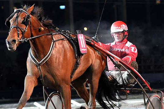 25.000 skr. i pr�mie til bornholmeropdr�t