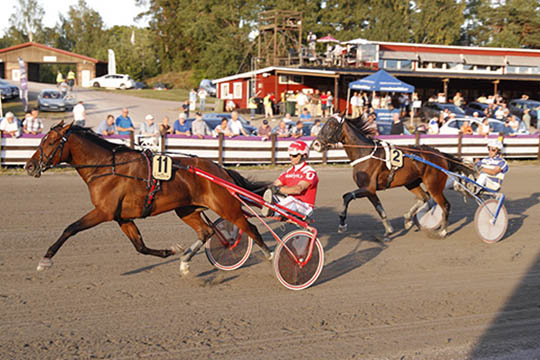 Bornholmers opdr�t til tops i Sverige