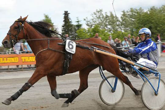 Bornholmer jagter vinderblomster i G�teborg