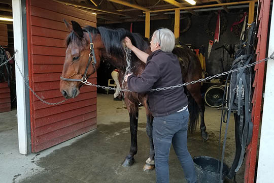 Andelsstald fordoblet efter god s�son