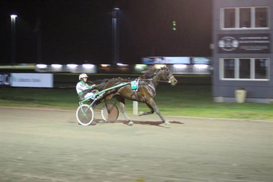 Von Gladiator sejrede efter behag