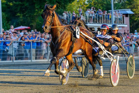 Lokal travkusk i DM-debut p� hjemmebane