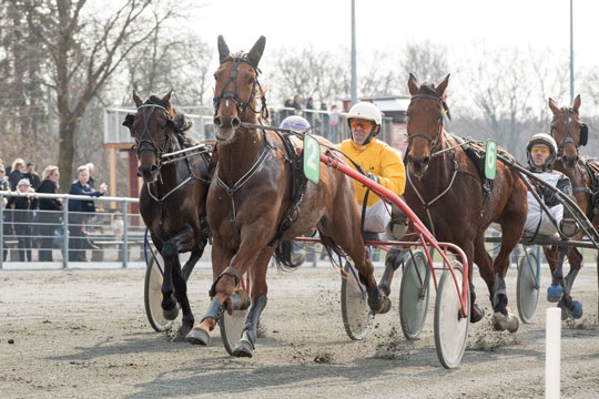 Travbanen f�r 26 l�bsdage i 2019