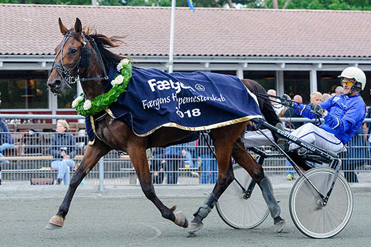 �rets hoppemester skal til avlen