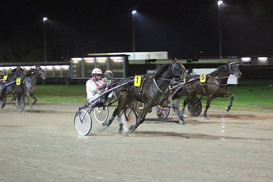 Transportkoks hindrede travhestes start