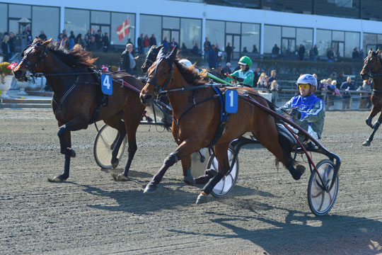 Topchance i Sverige i aften til bornholmer