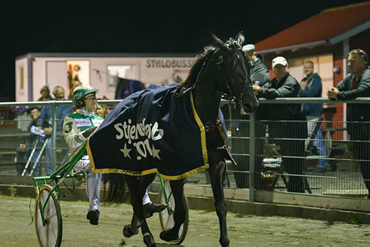 Sejrshesten Wega Vang har f�et ny tr�ner