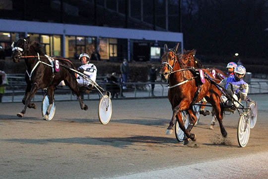 Vild bornholmerdag i hovedstaden