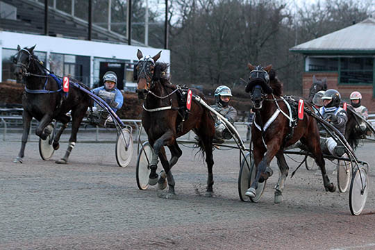 Hesteopdr�tterpar stolt efter ny sejr