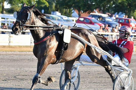 Bornholmsk sejrshest jagter sejr nummer 19
