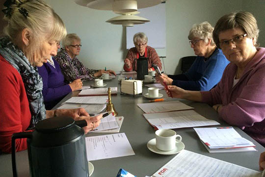 Bestyrelse g�r mod str�mmen