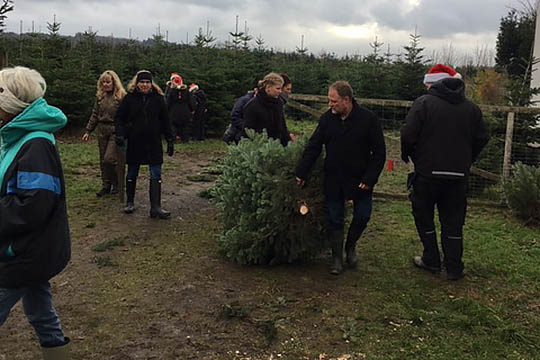 Ekstra mange f�ldede juletr�er med Sydbank