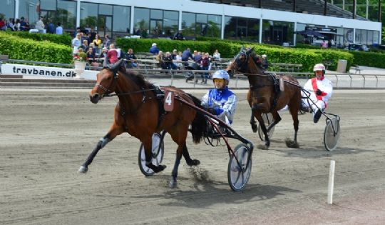 Bornholmer mod tredje championat i hovedstaden