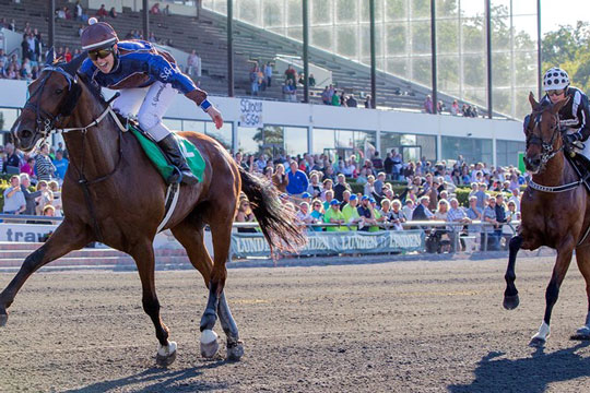 Solo topklar til debut i ridetravl�b