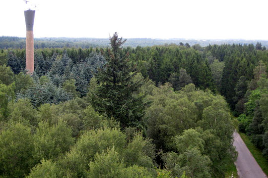 Gammelt radart�rn skal spr�nges v�k