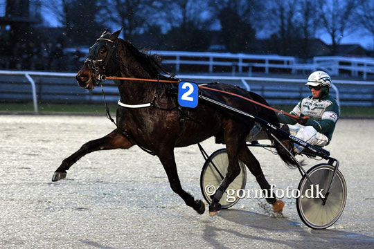 Bornholmsk opdr�t til tops i Odense