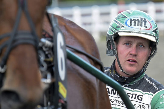 Atter galop for Alvin Ice for svensk stortr�ner
