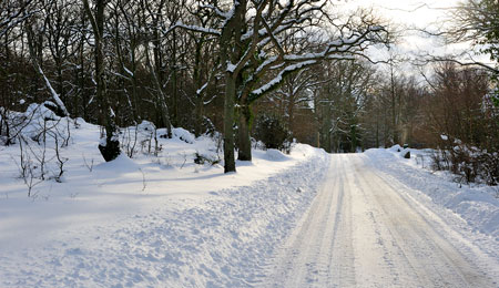 Det bl�ser mest p� Nordbornholm