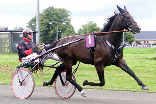 Delvis bornholmskejet travhest nomineret