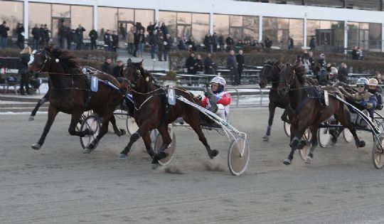 Vanneau Wib anden i Lunden