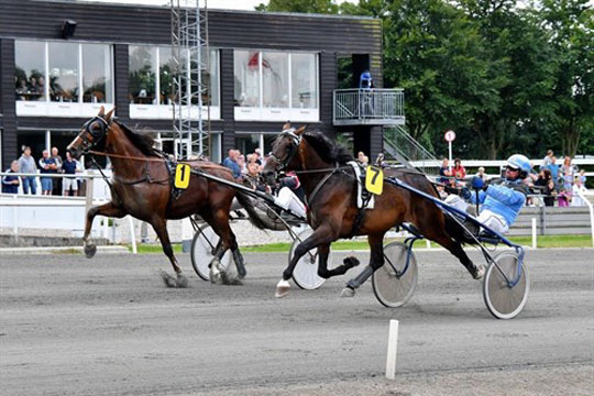 Galop for Alvin Ice i Sverige