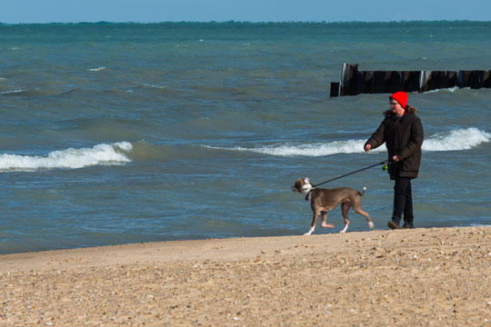 Nu skal hunden i snor