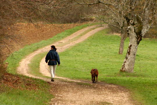 En frisk g�tur er ogs� motion