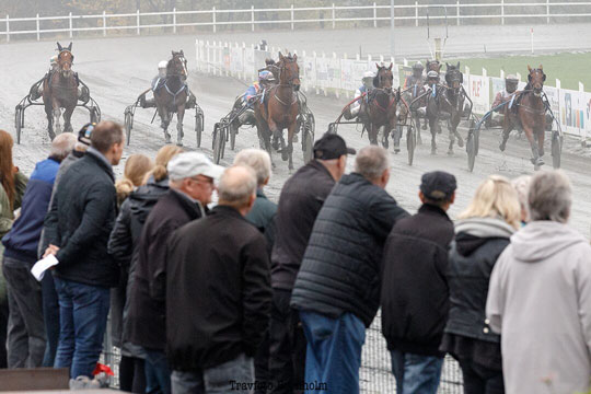 Anbefaler at udskyde travpremiere