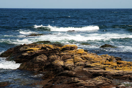 Snart er det for�rsj�vnd�gn