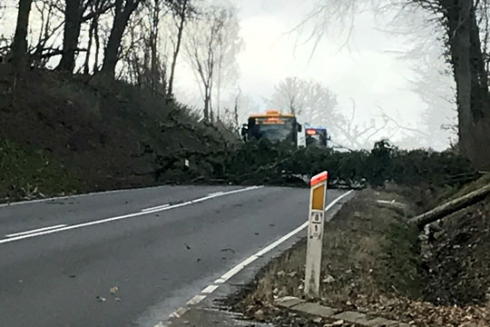 Politiet: V�r opm�rksom p� v�ltede tr�er