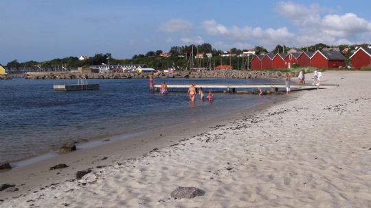 St�tte til nyt legeomr�de i Hasle